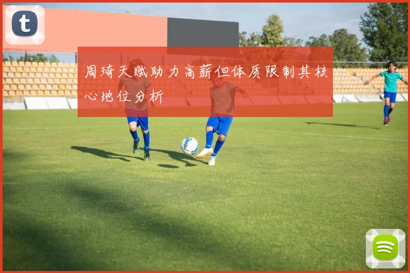 周琦天赋助力高薪但体质限制其核心地位分析