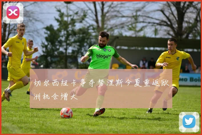切尔西纽卡争夺努涅斯今夏重返欧洲机会增大