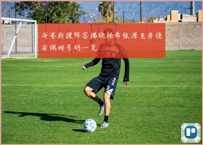 海港新援阵容揭晓杨希张源克劳德安佩姆号码一览